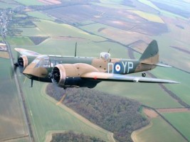 997817_Blenheim2-credit-Jarrod-Cotter-sm-900x675