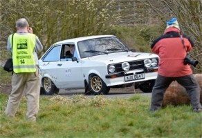 Robin - Peter Poppy 2015