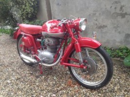 1239821_MV DIsco VolanteHR