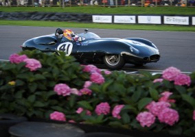 1291061_lister-costin-at-revival-2015-pic-1