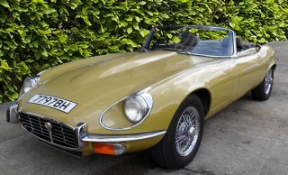 1357500_1_1_Jaguar V12 E-Type1_hedgerow copy